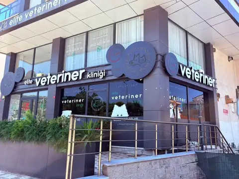 Hakkımızda