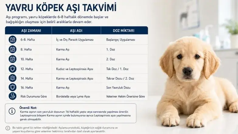 yavru-kopek-asi-takvimi.webp