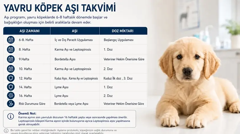 yavru-kopek-asi-takvimi.webp (1)