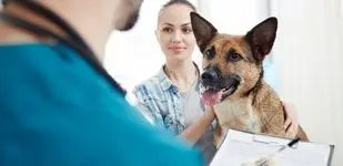 Kedi Köpek Check Up